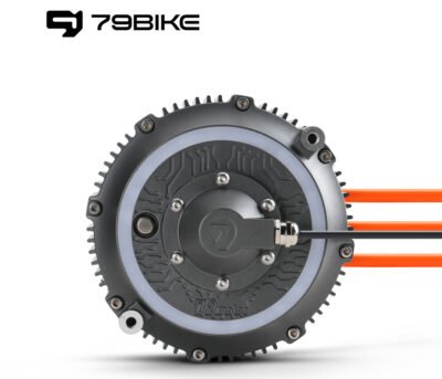 79BIKE Falcon Pro Motor